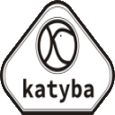 Ikona